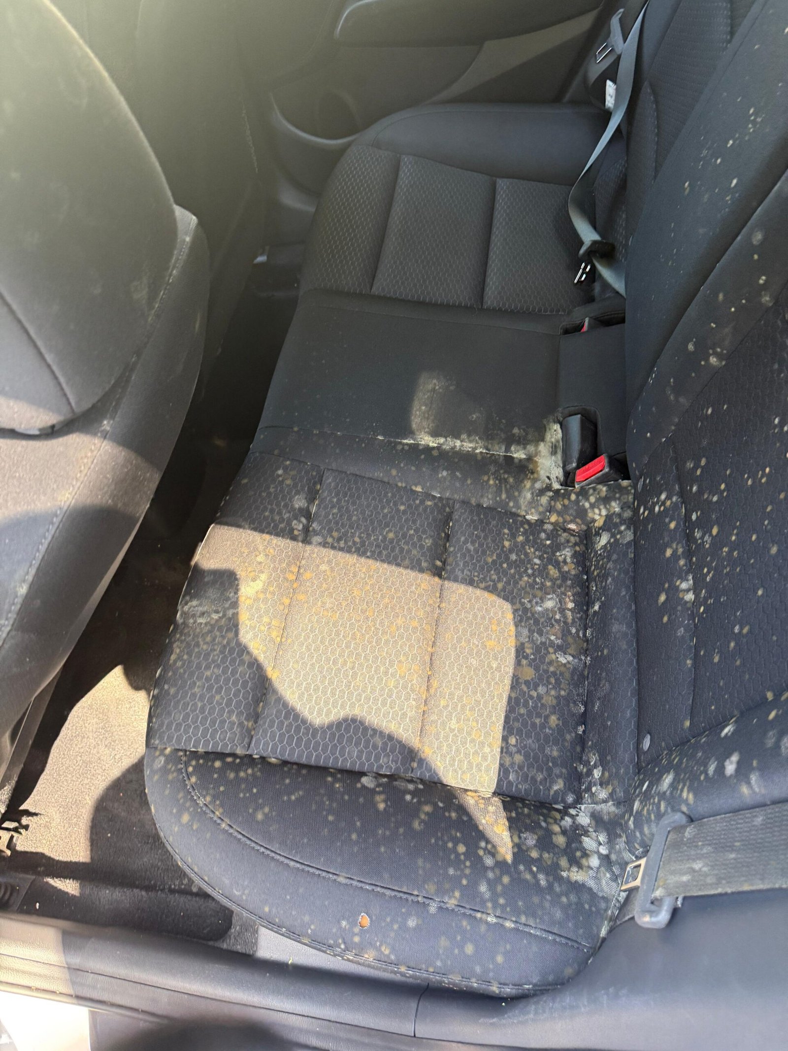 WhatsApp Image 2025-09-19 at 11.54.02 AM (1) WhatsApp Image 2025-09-19 at 11.54.02 AM (1)